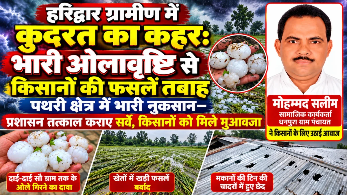 हरिद्वार ग्रामीण में कुदरत का कहर: भारी ओलावृष्टि से किसानों की फसलें तबाह, पथरी क्षेत्र में भारी नुकसान—प्रशासन तत्काल कराए सर्वे, किसानों को मिले मुआवजा
